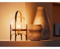 Philips Hue Inteligentna żarówka White A60 E27 - 810lm (2 szt.) - 1490200 - zdjęcie 5